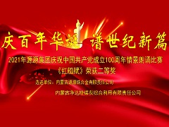 二等獎-鐵合金 凈達(dá)