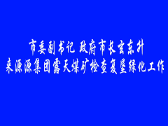 市領(lǐng)導(dǎo)檢查綠化新聞